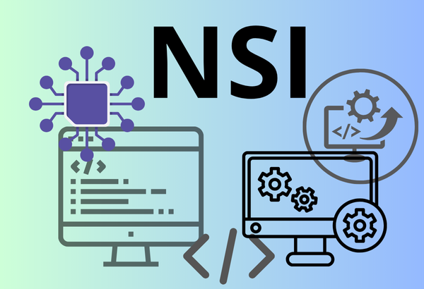 NSI C'est Quoi ? Pour Qui